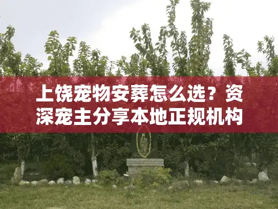 上饶宠物安葬怎么选？资深宠主分享本地正规机构全流程
