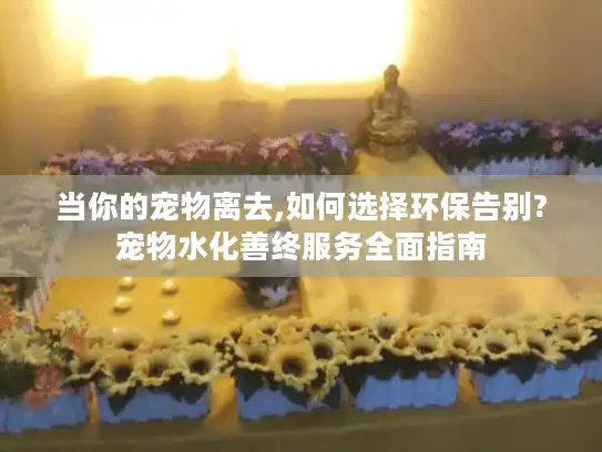 当你的宠物离去,如何选择环保告别?宠物水化善终服务全面指南