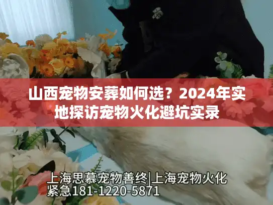 山西宠物安葬如何选？2024年实地探访宠物火化避坑实录