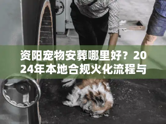 资阳宠物安葬哪里好？2024年本地合规火化流程与价格揭秘