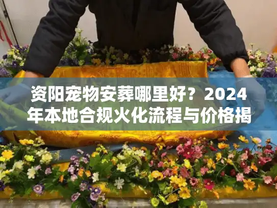 资阳宠物安葬哪里好？2024年本地合规火化流程与价格揭秘