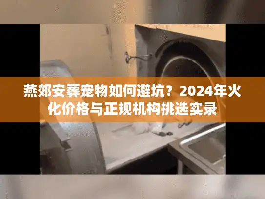 燕郊安葬宠物如何避坑？2024年火化价格与正规机构挑选实录