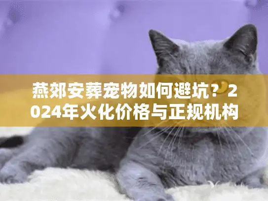 燕郊安葬宠物如何避坑？2024年火化价格与正规机构挑选实录