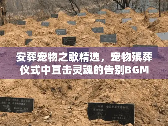 安葬宠物之歌精选，宠物殡葬仪式中直击灵魂的告别BGM