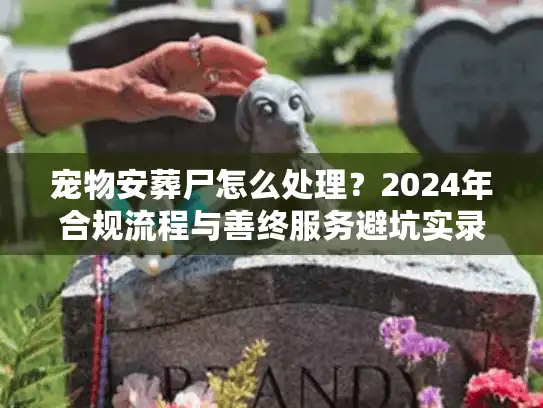 宠物安葬尸怎么处理？2024年合规流程与善终服务避坑实录