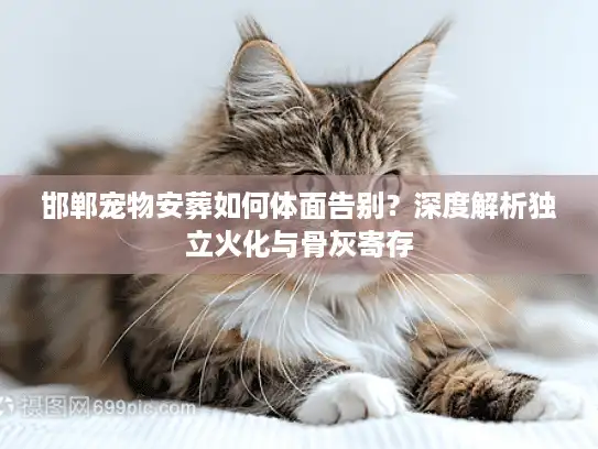 邯郸宠物安葬如何体面告别？深度解析独立火化与骨灰寄存