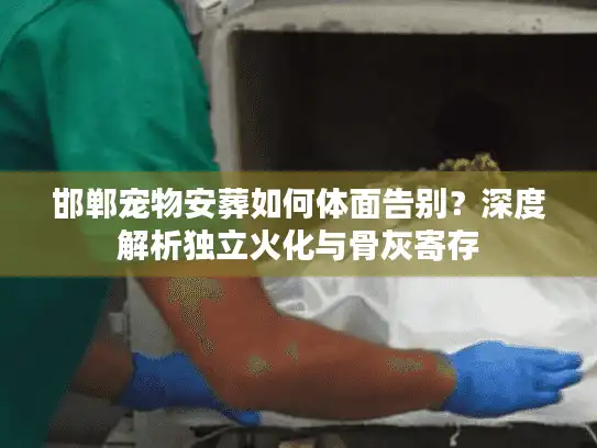 邯郸宠物安葬如何体面告别？深度解析独立火化与骨灰寄存