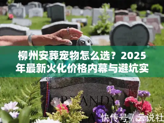 柳州安葬宠物怎么选？2025年最新火化价格内幕与避坑实录