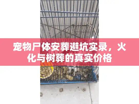宠物尸体安葬避坑实录，火化与树葬的真实价格