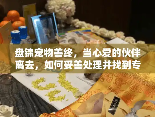 盘锦宠物善终，当心爱的伙伴离去，如何妥善处理并找到专业慰藉？