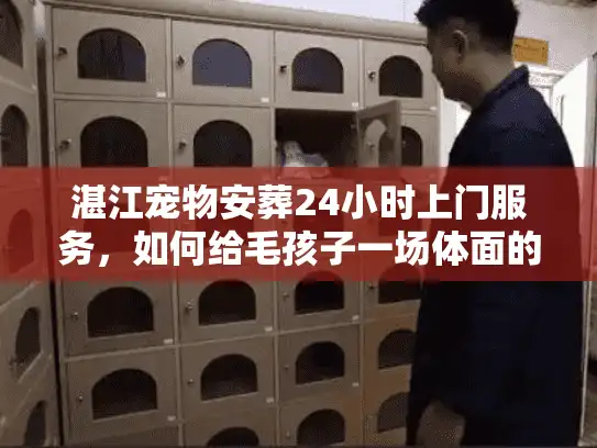 湛江宠物安葬24小时上门服务，如何给毛孩子一场体面的告别？