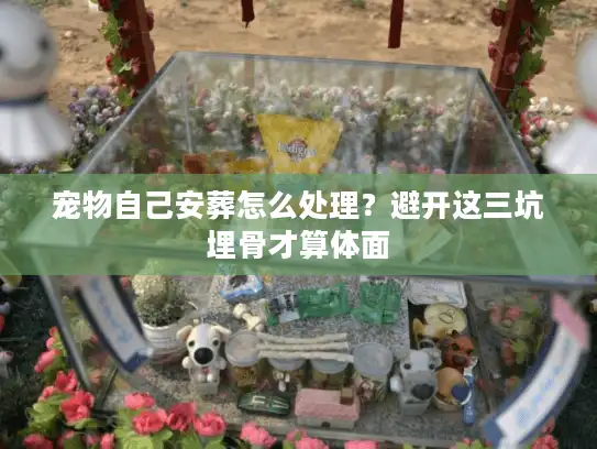 宠物自己安葬怎么处理？避开这三坑埋骨才算体面