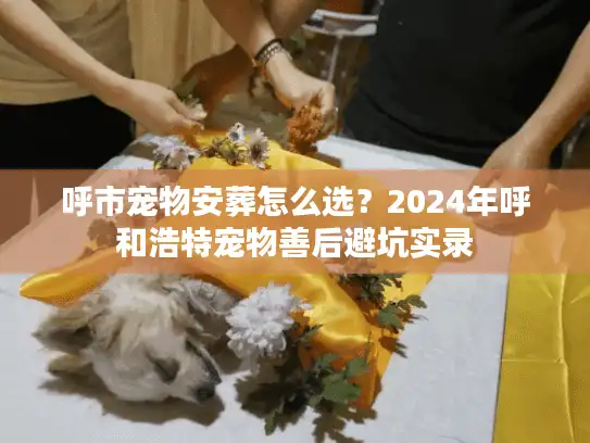 呼市宠物安葬怎么选？2024年呼和浩特宠物善后避坑实录