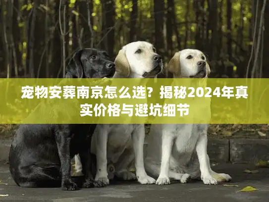 宠物安葬南京怎么选？揭秘2024年真实价格与避坑细节