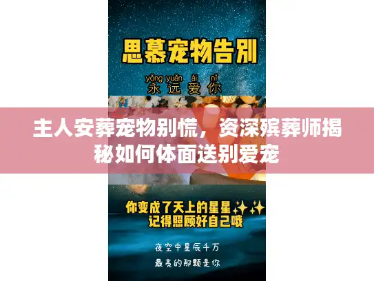 主人安葬宠物别慌，资深殡葬师揭秘如何体面送别爱宠