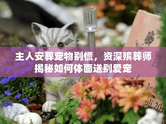 主人安葬宠物别慌，资深殡葬师揭秘如何体面送别爱宠