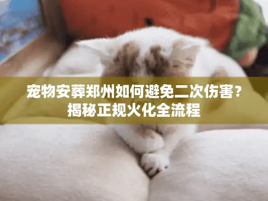 宠物安葬郑州如何避免二次伤害？揭秘正规火化全流程