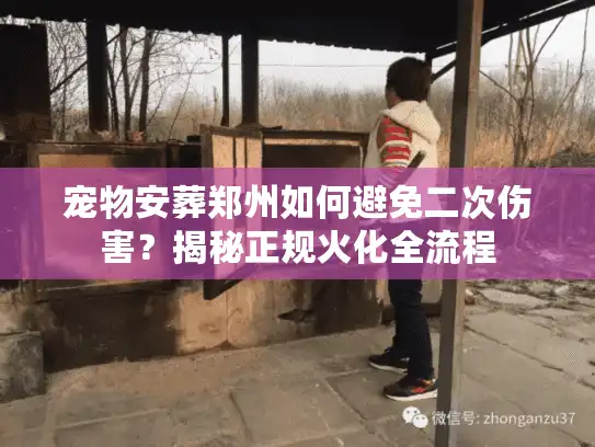 宠物安葬郑州如何避免二次伤害？揭秘正规火化全流程