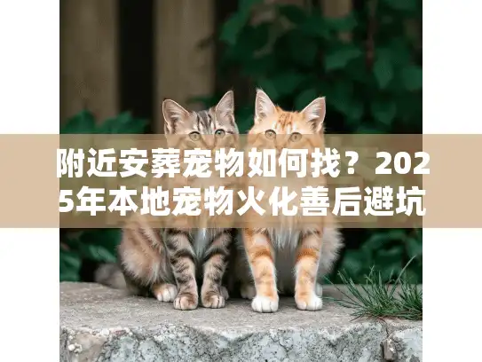 附近安葬宠物如何找？2025年本地宠物火化善后避坑实录