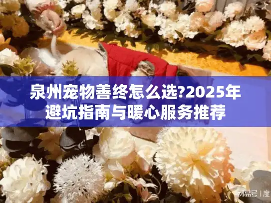 泉州宠物善终怎么选?2025年避坑指南与暖心服务推荐
