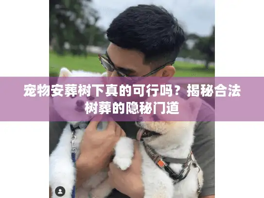 宠物安葬树下真的可行吗？揭秘合法树葬的隐秘门道