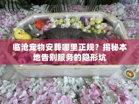 临沧宠物安葬哪里正规？揭秘本地告别服务的隐形坑