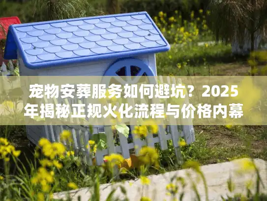 宠物安葬服务如何避坑？2025年揭秘正规火化流程与价格内幕