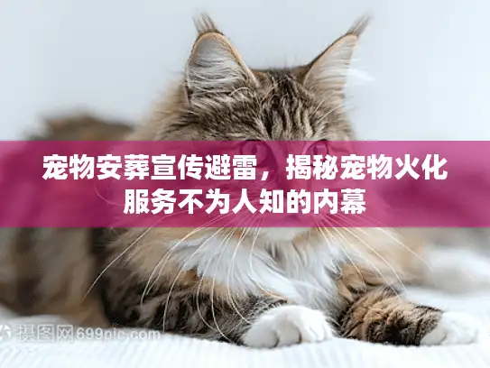 宠物安葬宣传避雷，揭秘宠物火化服务不为人知的内幕