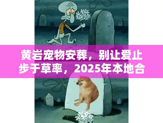黄岩宠物安葬，别让爱止步于草率，2025年本地合规火化避坑实录