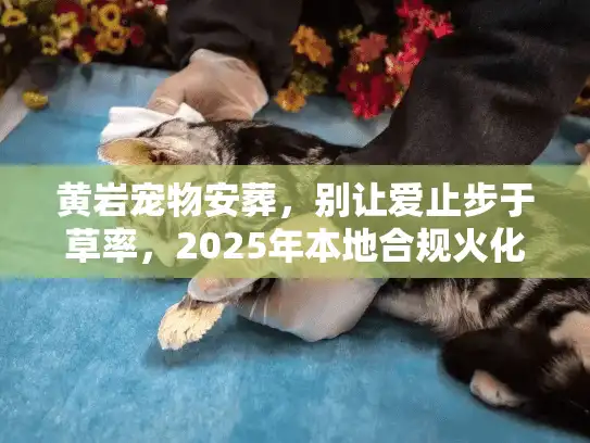 黄岩宠物安葬，别让爱止步于草率，2025年本地合规火化避坑实录