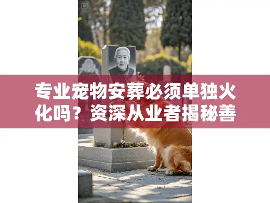 专业宠物安葬必须单独火化吗？资深从业者揭秘善后门道