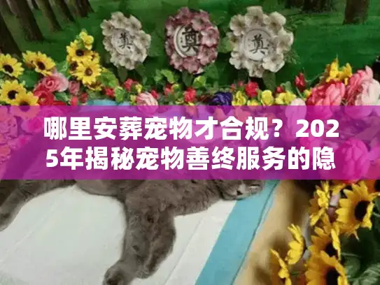 哪里安葬宠物才合规？2025年揭秘宠物善终服务的隐形陷阱与优选