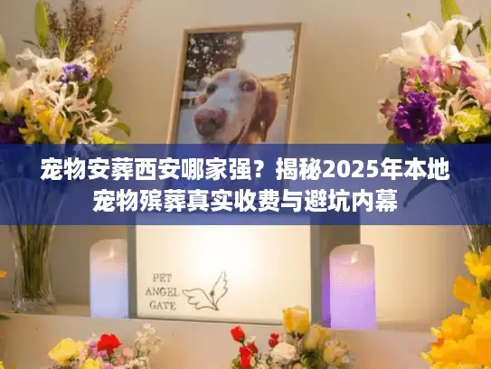 宠物安葬西安哪家强？揭秘2025年本地宠物殡葬真实收费与避坑内幕