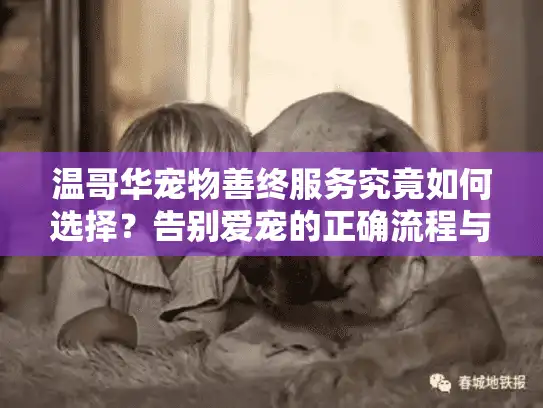 温哥华宠物善终服务究竟如何选择？告别爱宠的正确流程与贴心选项