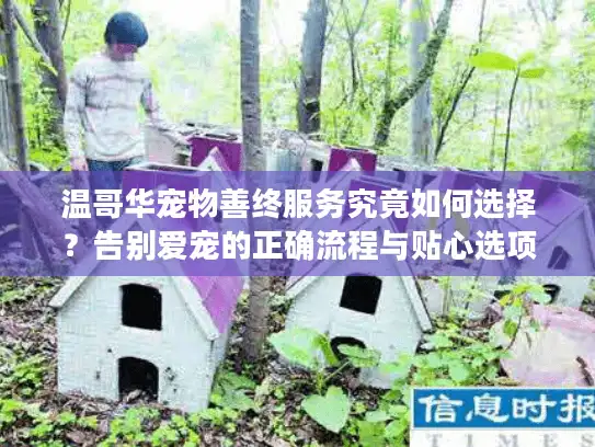 温哥华宠物善终服务究竟如何选择？告别爱宠的正确流程与贴心选项