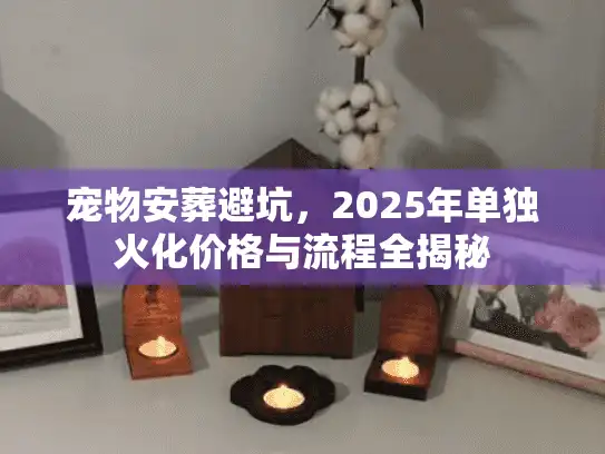 宠物安葬避坑，2025年单独火化价格与流程全揭秘