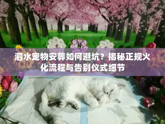 泗水宠物安葬如何避坑？揭秘正规火化流程与告别仪式细节