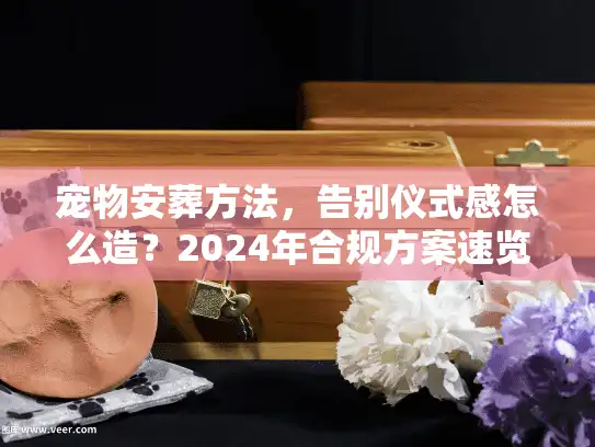 宠物安葬方法，告别仪式感怎么造？2024年合规方案速览