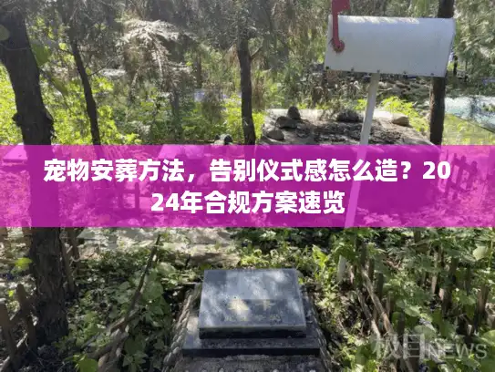 宠物安葬方法，告别仪式感怎么造？2024年合规方案速览