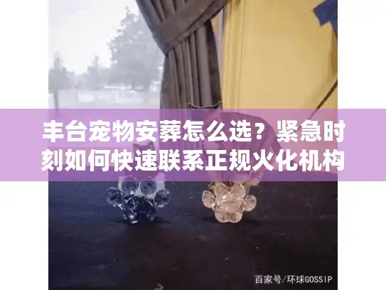 丰台宠物安葬怎么选？紧急时刻如何快速联系正规火化机构