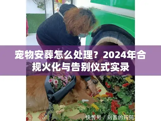 宠物安葬怎么处理？2024年合规火化与告别仪式实录