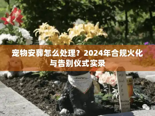 宠物安葬怎么处理？2024年合规火化与告别仪式实录
