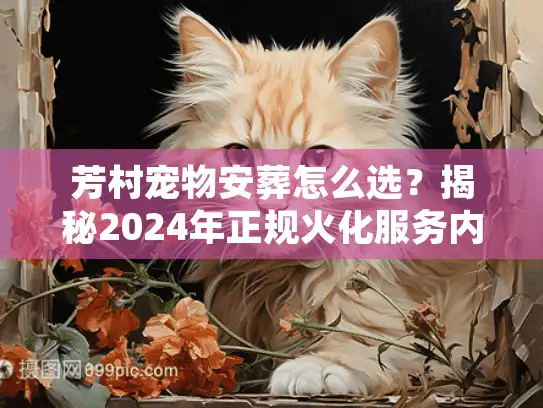 芳村宠物安葬怎么选？揭秘2024年正规火化服务内幕