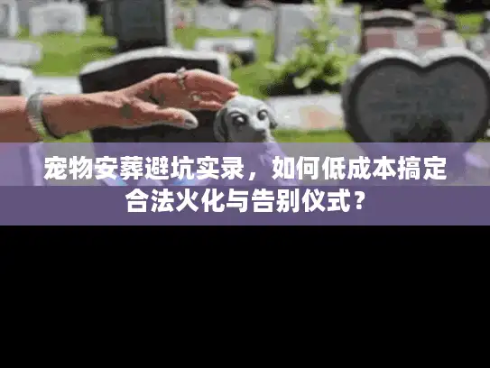 宠物安葬避坑实录，如何低成本搞定合法火化与告别仪式？