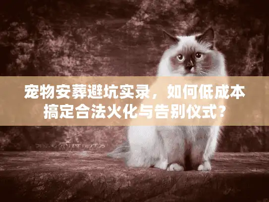 宠物安葬避坑实录，如何低成本搞定合法火化与告别仪式？
