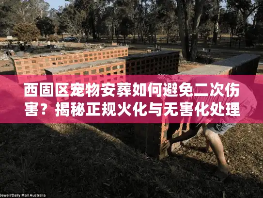 西固区宠物安葬如何避免二次伤害？揭秘正规火化与无害化处理真相