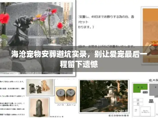 海沧宠物安葬避坑实录，别让爱宠最后一程留下遗憾