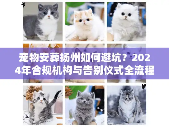 宠物安葬扬州如何避坑？2024年合规机构与告别仪式全流程