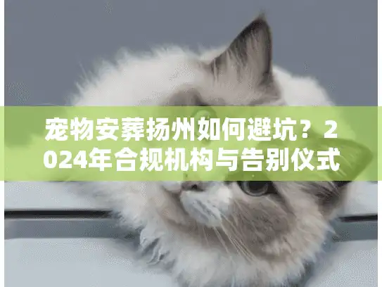 宠物安葬扬州如何避坑？2024年合规机构与告别仪式全流程