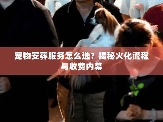 宠物安葬服务怎么选？揭秘火化流程与收费内幕